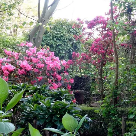 Spoelhof فندق مبيت وإفطار 3*