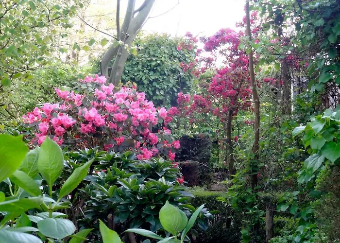 Spoelhof Bed & Breakfast 3*